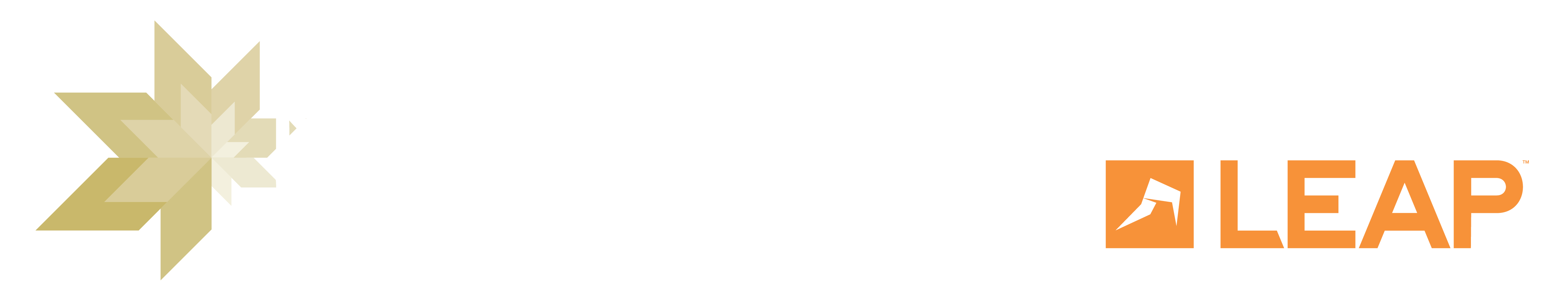 New Zealand Law Awards Logo